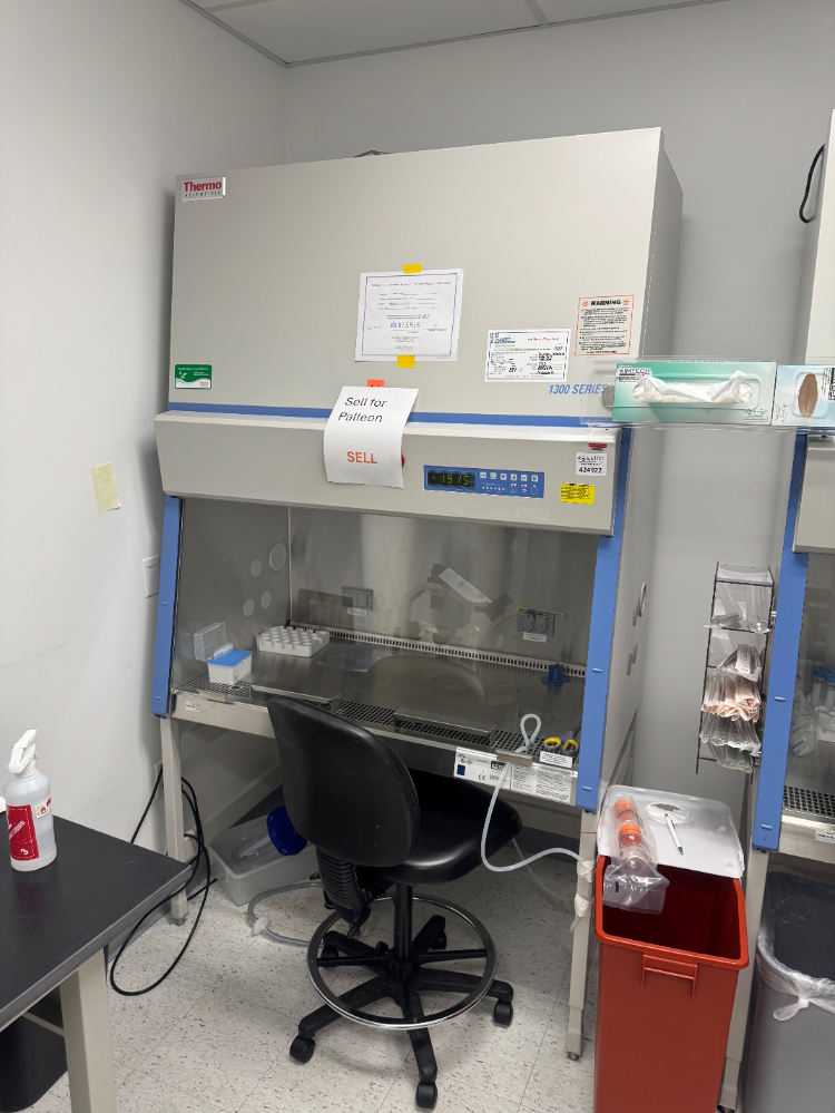 Image of Thermo 1300 Series A2 4' BioSafety Cabinet